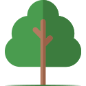 Picto-arbre-125x125px