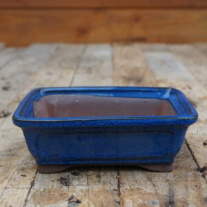 R09- Pot bleu évasé