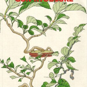 France bonsaï n°156