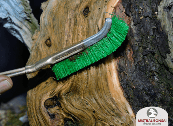 Brosse en nylon – Image 3