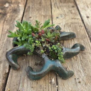 Kusamono n°0298 pièce unique