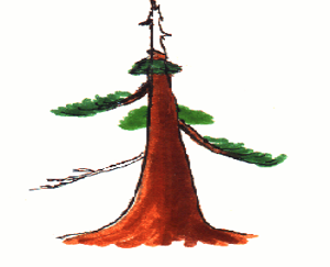 Image14