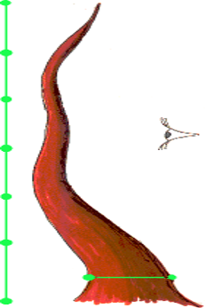 Image4