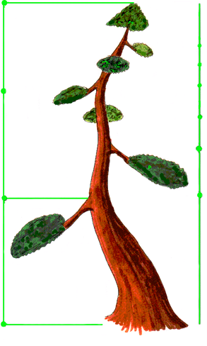 Image6