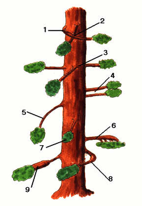 Image8