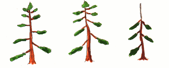 Image9