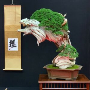 Tanuki