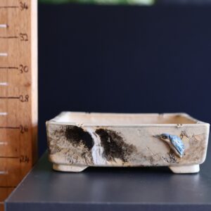 Pot Bonsaï en céramique n°023
