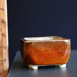 Pot Bonsaï en céramique n°052